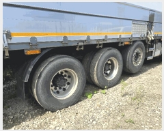  2025Ÿ��51692 ����� ������ ����� 446 ����Ư���߷��� ������     �������