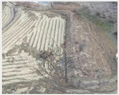  2025Ÿ32 泲    441      ()