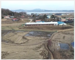  2025Ÿ32 泲    441      ()