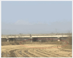  2025Ÿ438 泲  ۾ 縮 36-1      ()