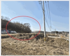  2025Ÿ��531  �Ӿ߰��