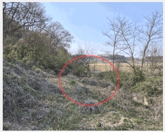  2025Ÿ��531  �Ӿ߰��