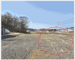  2025Ÿ��531  �Ӿ߰��