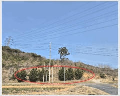  2025Ÿ580 泲   θ 847-28      ()