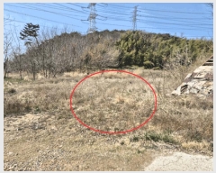  2025Ÿ580 泲   θ 847-28      ()