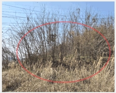  2025Ÿ580 泲   θ 847-28      ()