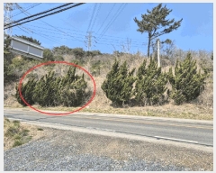  2025Ÿ580 泲   θ 847-28      ()