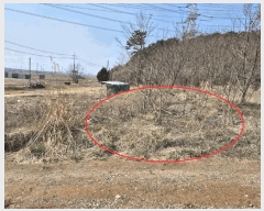  2025Ÿ580 泲   θ 847-28      ()