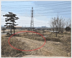  2025Ÿ580 泲   θ 847-28      ()