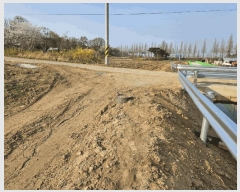  2025Ÿ597 泲    175      ()