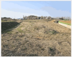  2025Ÿ597 泲    175      ()