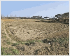  2025Ÿ597 泲    175      ()