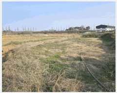  2025Ÿ597 泲    175      ()