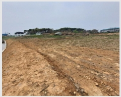  2025Ÿ597 泲    175      ()