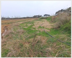  2025Ÿ597 泲    175      ()