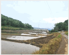  2025Ÿ��632  ����