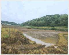  2025Ÿ��632  ����