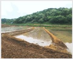  2025Ÿ��632  ����