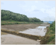  2025Ÿ��632  ����