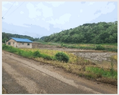  2025Ÿ��632  ����