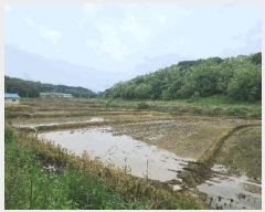  2025Ÿ��632  ����