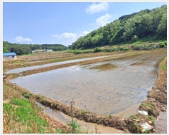  2025Ÿ��632  ����