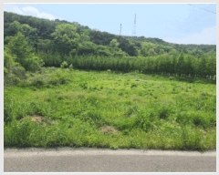  2025Ÿ��639  ����