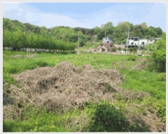  2025Ÿ��639  ����