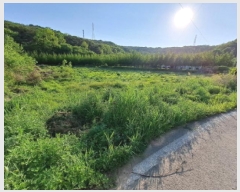  2025Ÿ��639  ����