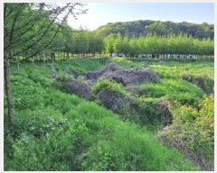  2025Ÿ��639  ����