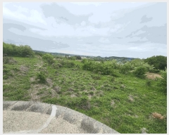  2025Ÿ��644 �泲 ������ �ۻ�� ��� 355-14      ����(�Ӿ�)���