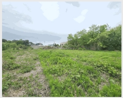  2025Ÿ��644 �泲 ������ �ۻ�� ��� 355-14      ����(�Ӿ�)���