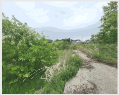  2025Ÿ��644 �泲 ������ �ۻ�� ��� 355-14      ����(�Ӿ�)���