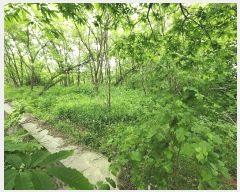  2025Ÿ��644 �泲 ������ �ۻ�� ��� 355-14      ����(�Ӿ�)���