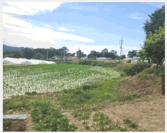  2025Ÿ��654  �����