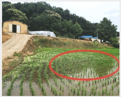  2025Ÿ��654  �����