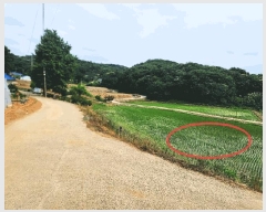  2025Ÿ��654  �����