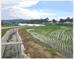  2025Ÿ��654  �����