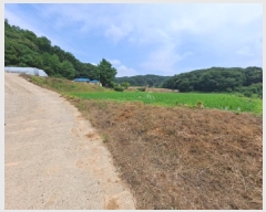  2025Ÿ��654  �����