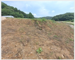  2025Ÿ��654  �����