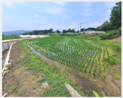  2025Ÿ��654  �����