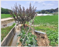  2025Ÿ��654  �����