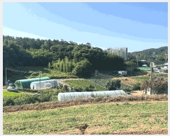  2025Ÿ667 泲   θ 230-2      (Ӿ)