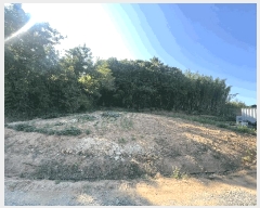  2025Ÿ667 泲   θ 230-2      (Ӿ)