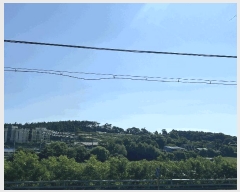  2025Ÿ667 泲   θ 230-2      (Ӿ)