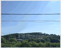  2025Ÿ667 泲   θ 230-2      (Ӿ)