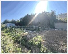  2025Ÿ667 泲   θ 230-2      (Ӿ)