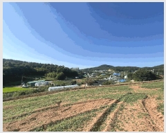  2025Ÿ667 泲   θ 230-2      (Ӿ)