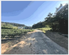  2025Ÿ667 泲   θ 230-2      (Ӿ)