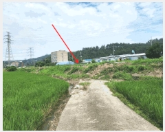  2025Ÿ��677  ����